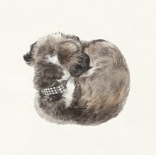 Load image into Gallery viewer, Sleeping Dog No. 20 DIGITAL DOWNLOAD