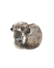 Load image into Gallery viewer, Sleeping Dog No. 20 DIGITAL DOWNLOAD