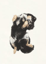 Load image into Gallery viewer, Sleeping Dog No. 22 DIGITAL DOWNLOAD