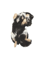 Load image into Gallery viewer, Sleeping Dog No. 22 DIGITAL DOWNLOAD