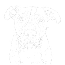 Load image into Gallery viewer, Two Custom Watercolor Paintings