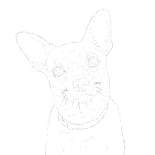 Load image into Gallery viewer, Two Custom Watercolor Paintings