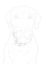 Load image into Gallery viewer, Two Custom Watercolor Paintings