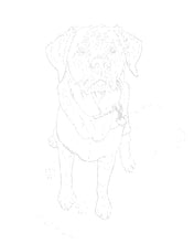 Load image into Gallery viewer, Two Custom Watercolor Paintings