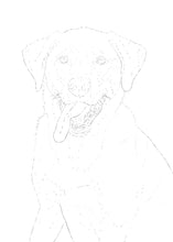 Load image into Gallery viewer, Two Custom Watercolor Paintings