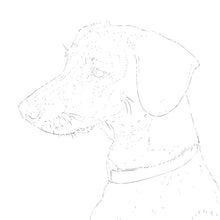 Load image into Gallery viewer, Five Custom Watercolor Paintings