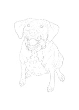 Load image into Gallery viewer, Three Custom Watercolor Paintings