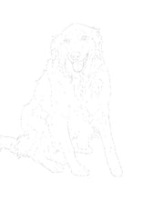 Load image into Gallery viewer, Two Custom Watercolor Paintings