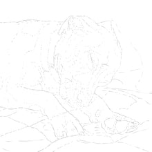 Load image into Gallery viewer, Two Custom Watercolor Paintings