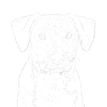 Load image into Gallery viewer, Two Custom Watercolor Paintings