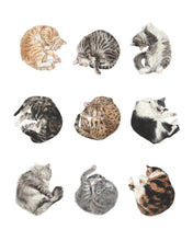 Load image into Gallery viewer, Sleeping Cat Collage INSTANT DOWNLOAD