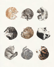 Load image into Gallery viewer, Sleeping Cat Collage INSTANT DOWNLOAD