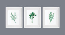 Load image into Gallery viewer, Herb Print Set INSTANT DOWNLOAD