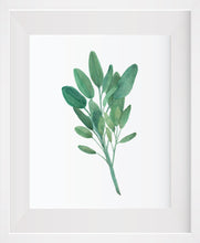 Load image into Gallery viewer, Herb Print Set INSTANT DOWNLOAD